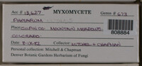 Image Associated With the Occurence